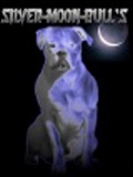 http://www.silver-moon-bulls.de/