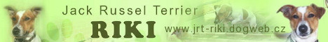 RIKI - Jack Russel Terrier jrt-riki_468x60