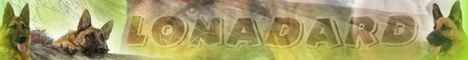 lonadard_468x60